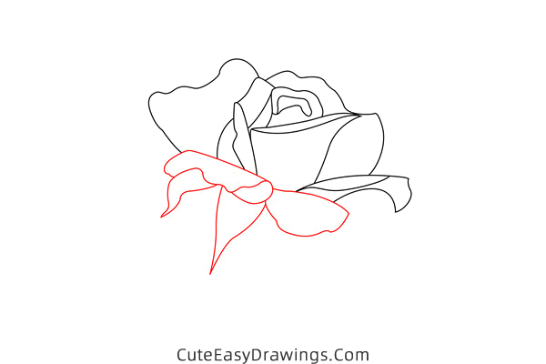 how to draw a blooming rose - www.cuteeasydrawings.com