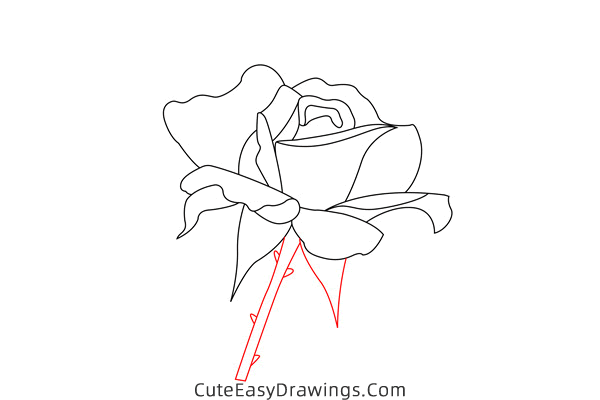 how to draw a blooming rose - www.cuteeasydrawings.com