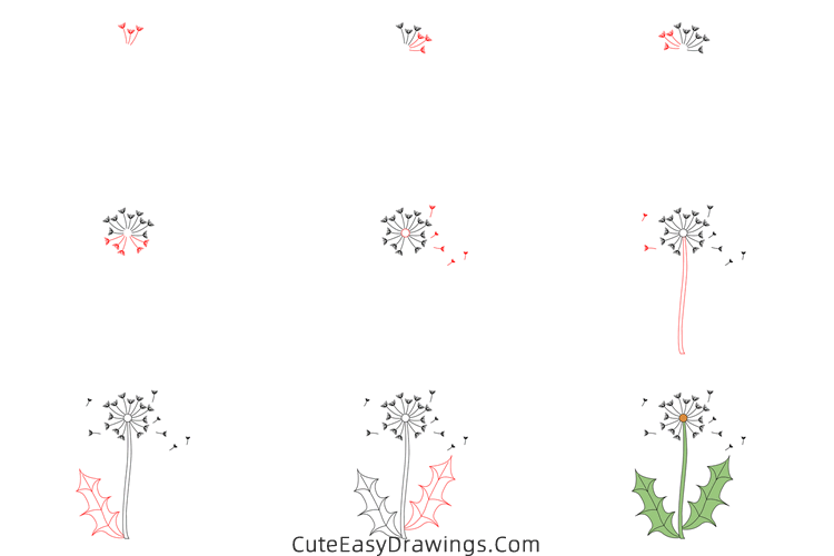 how to draw a dandelion - www.cuteeasydrawings.com