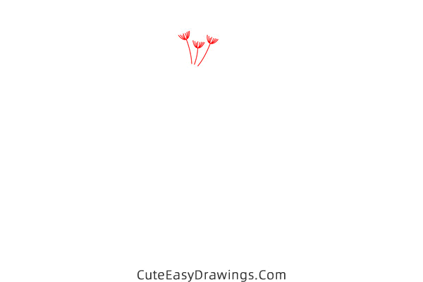 how to draw a dandelion - www.cuteeasydrawings.com