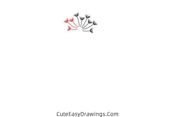 how to draw a dandelion - www.cuteeasydrawings.com