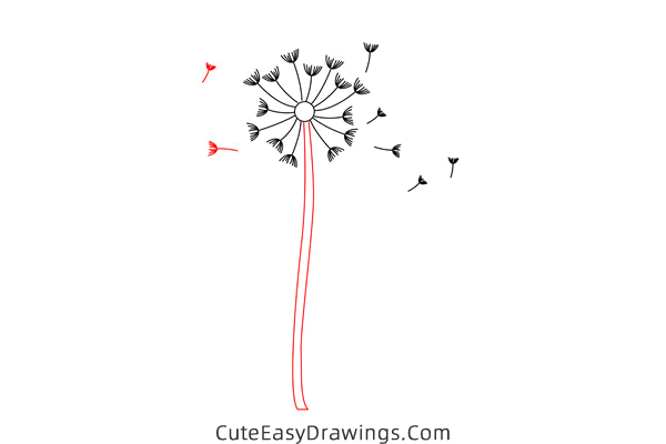 how to draw a dandelion - www.cuteeasydrawings.com