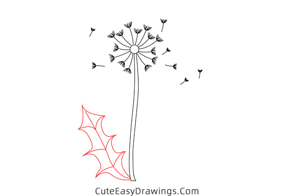 how to draw a dandelion - www.cuteeasydrawings.com