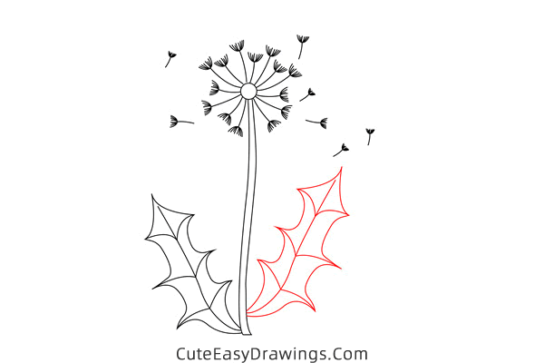 how to draw a dandelion - www.cuteeasydrawings.com