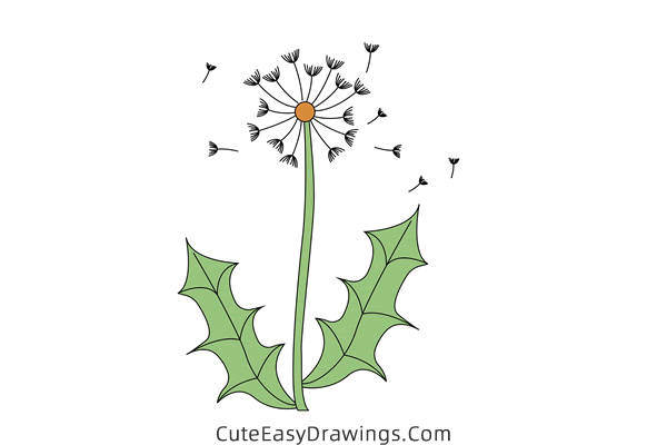 how to draw a dandelion - www.cuteeasydrawings.com