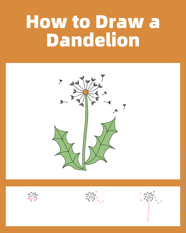 how to draw a dandelion - www.cuteeasydrawings.com