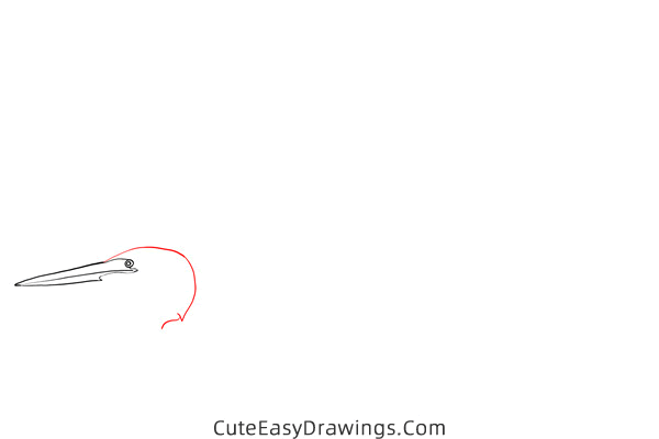 how to draw a great egret - www.cuteeasydrawings.com