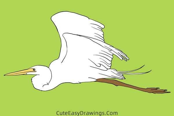 how to draw a great egret - www.cuteeasydrawings.com