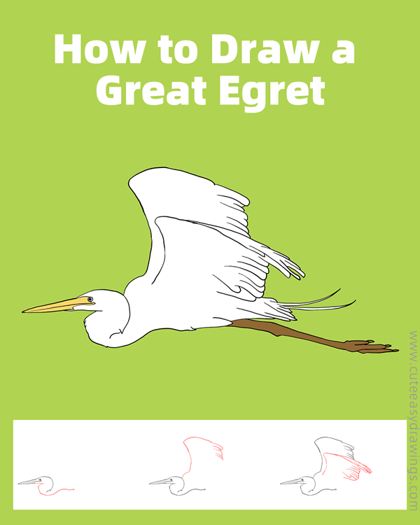 how to draw a great egret - www.cuteeasydrawings.com