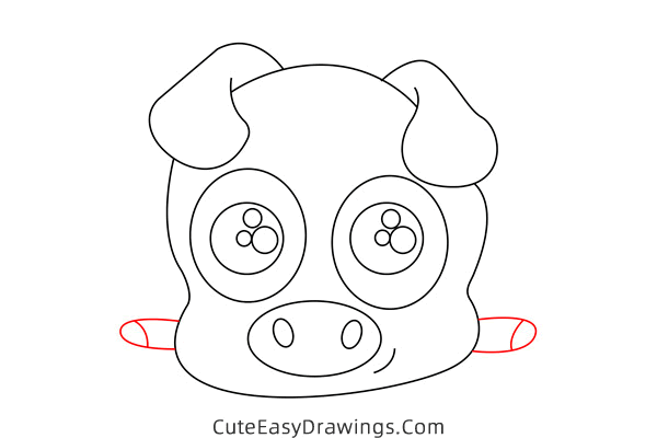 how to draw a pig face - www.cuteeasydrawings.com