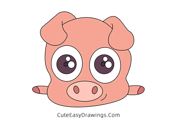 how to draw a pig face - www.cuteeasydrawings.com