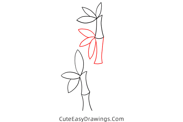 how to draw bamboo - www.cuteeasydrawings.com