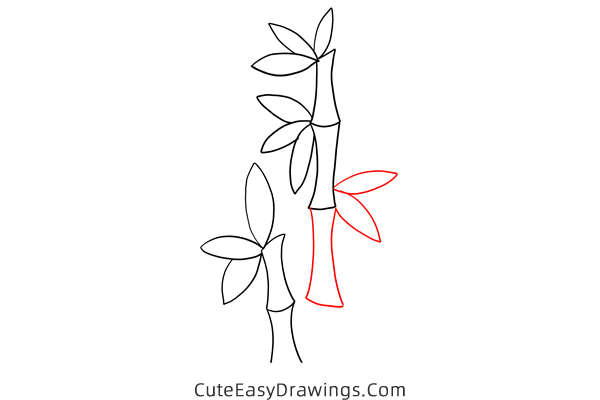 how to draw bamboo - www.cuteeasydrawings.com