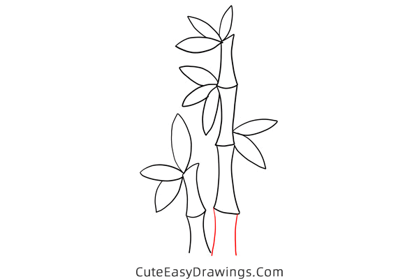 how to draw bamboo - www.cuteeasydrawings.com