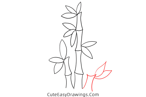 how to draw bamboo - www.cuteeasydrawings.com