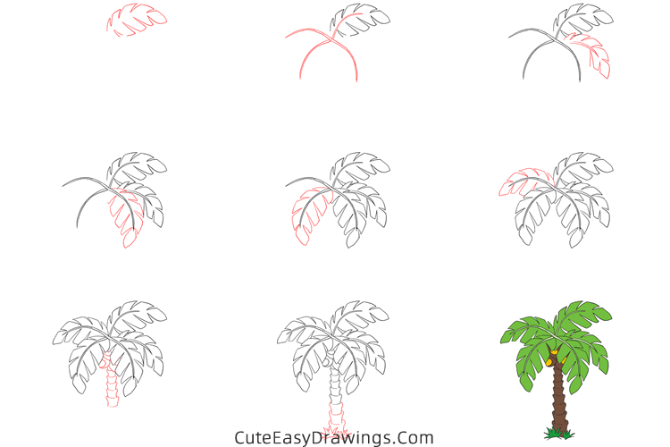 how to draw a palm tree - www.cuteeasydrawings.com