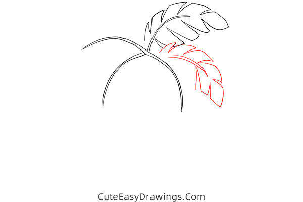 how to draw a palm tree - www.cuteeasydrawings.com