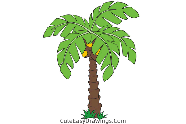 how to draw a palm tree - www.cuteeasydrawings.com