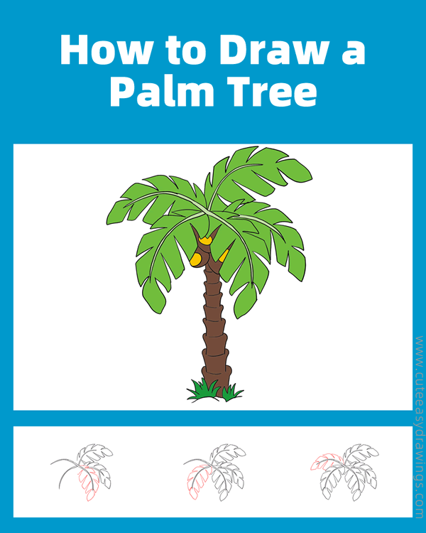 how to draw a palm tree - www.cuteeasydrawings.com