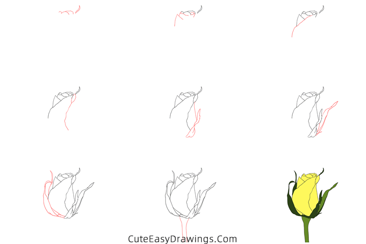 how to draw a realistic rose - www.cuteeasydrawings.com