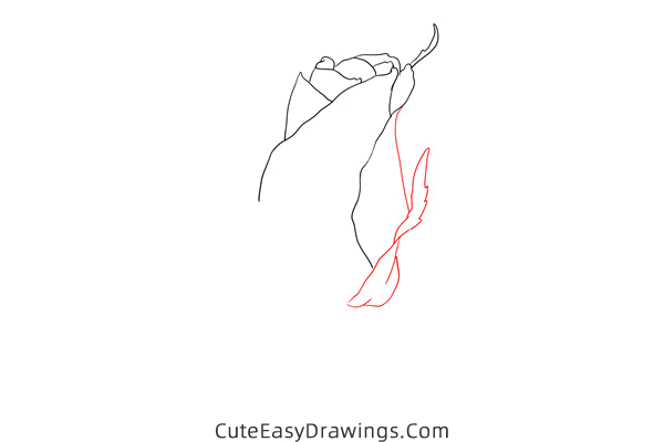 how to draw a realistic rose - www.cuteeasydrawings.com