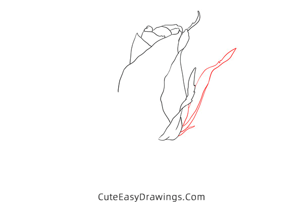 how to draw a realistic rose - www.cuteeasydrawings.com