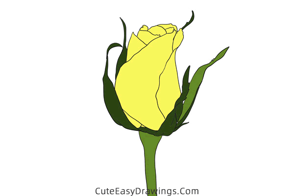 how to draw a realistic rose - www.cuteeasydrawings.com