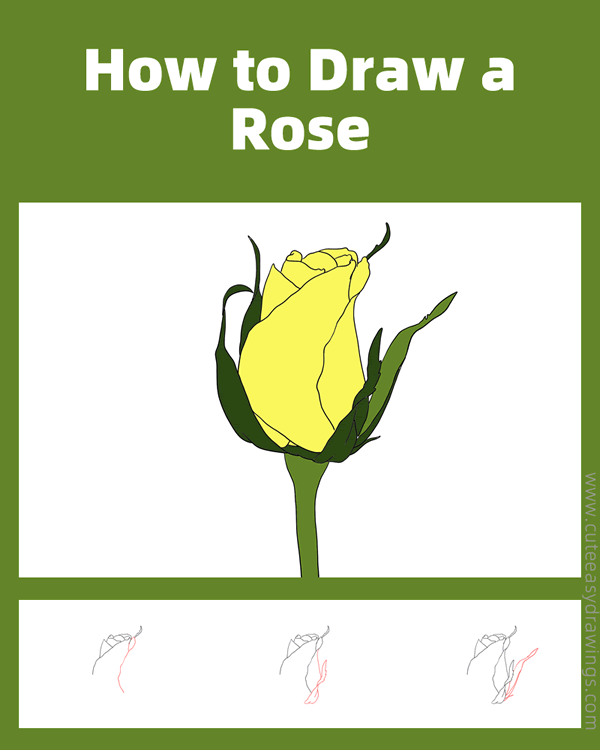 how to draw a realistic rose - www.cuteeasydrawings.com