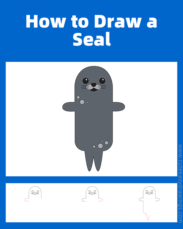 how to draw a seal easy - www.cuteeasydrawings.com