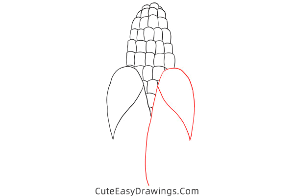 how to draw a corn - www.cuteeasydrawings.com