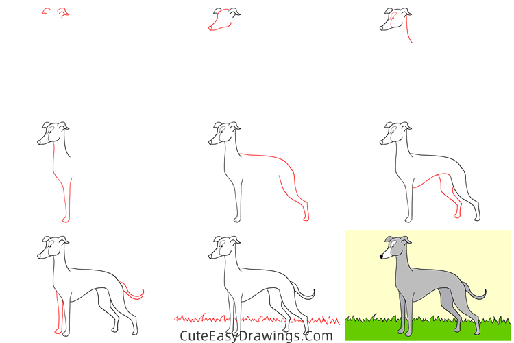 how to draw a greyhound - www.cuteeasydrawings.com