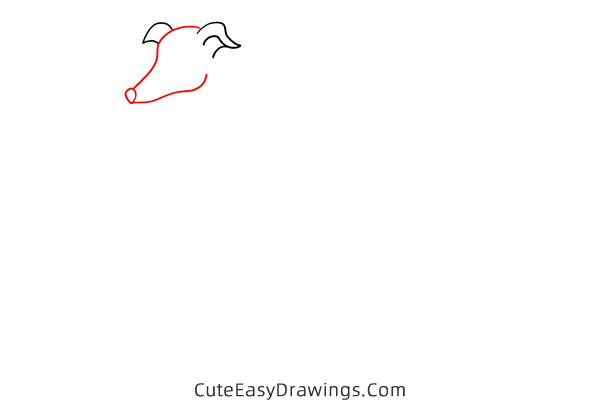 how to draw a greyhound - www.cuteeasydrawings.com