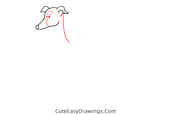 how to draw a greyhound - www.cuteeasydrawings.com