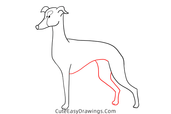 how to draw a greyhound - www.cuteeasydrawings.com