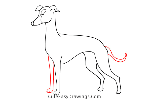 how to draw a greyhound - www.cuteeasydrawings.com