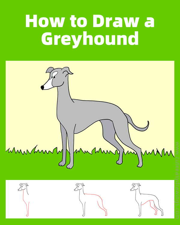 how to draw a greyhound - www.cuteeasydrawings.com