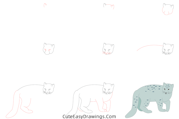 how to draw a snow leopard - www.cuteeasydrawings.com