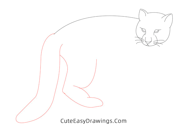 how to draw a snow leopard - www.cuteeasydrawings.com