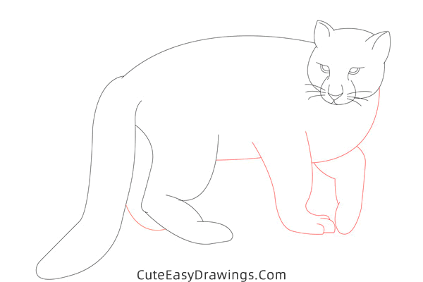 how to draw a snow leopard - www.cuteeasydrawings.com