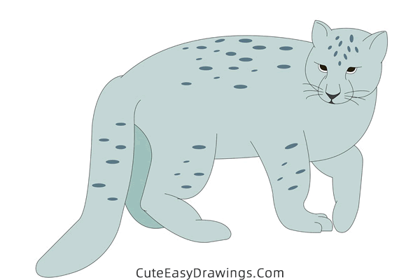 how to draw a snow leopard - www.cuteeasydrawings.com