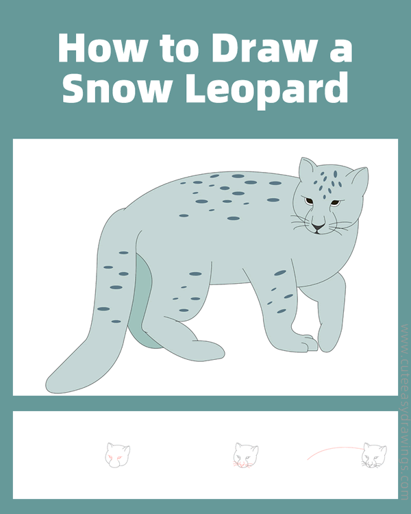 how to draw a snow leopard - www.cuteeasydrawings.com