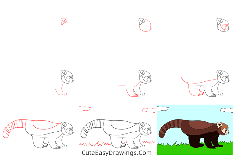 how to draw a red panda - www.cuteeasydrawings.com