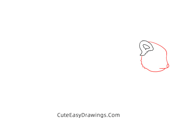 how to draw a red panda - www.cuteeasydrawings.com