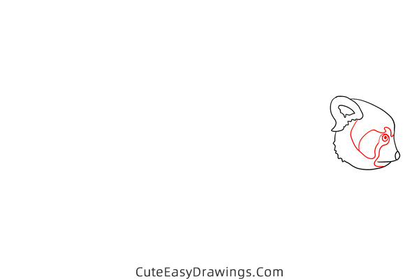 how to draw a red panda - www.cuteeasydrawings.com