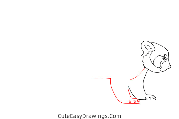 how to draw a red panda - www.cuteeasydrawings.com