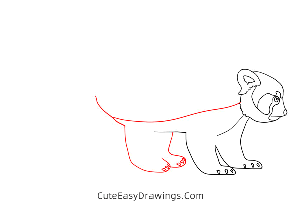 how to draw a red panda - www.cuteeasydrawings.com