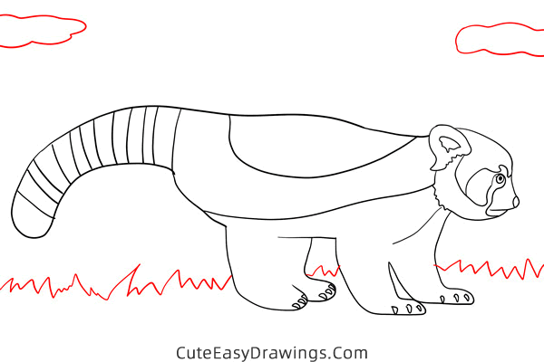 how to draw a red panda - www.cuteeasydrawings.com