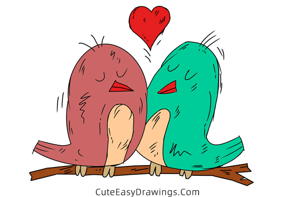 how to draw birds in love - www.cuteeasydrawings.com