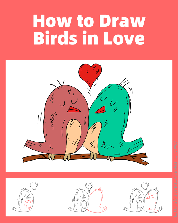 how to draw birds in love - www.cuteeasydrawings.com