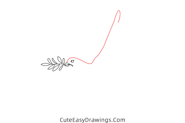 how to draw a dove of peace - www.cuteeasydrawings.com